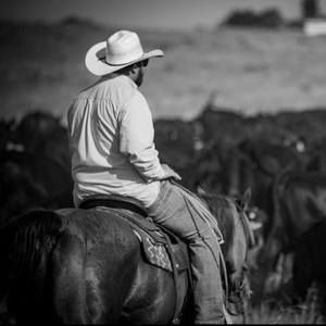 Meet your Posher, Joshua